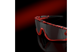 Päikeseprillid OAKLEY Jawbreaker Red Tiger Prizm Black