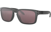 OAKLEY Holbrook Steel Collection Prizm Daily Polarized Steel Collection Prizm Daily Polarized