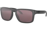 P&auml;ikeseprillid OAKLEY Holbrook Special Ed. "Steel Collection" Prizm Daily Polarized