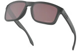 OAKLEY Holbrook Steel Collection Prizm Daily Polarized Steel Collection Prizm Daily Polarized