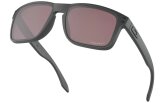 P&auml;ikeseprillid OAKLEY Holbrook Special Ed. "Steel Collection" Prizm Daily Polarized