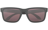 OAKLEY Holbrook Steel Collection Prizm Daily Polarized Steel Collection Prizm Daily Polarized