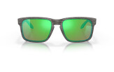 P&auml;ikeseprillid OAKLEY Holbrook erimudelid "Woodgrain Collection" Prizm Shallow Water Polarized