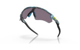 Päikeseprillid OAKLEY Radar EV Path Sanctuary Swirl Prizm Grey Sanctuary Swirl Prizm Grey