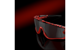 Päikeseprillid OAKLEY Jawbreaker Red Tiger Prizm Black Red Tiger Prizm Black