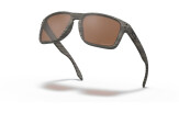 Päikeseprillid OAKLEY Holbrook XL Woodgrain Prizm Tungsten Polarized Woodgrain Prizm Tungsten Polarized