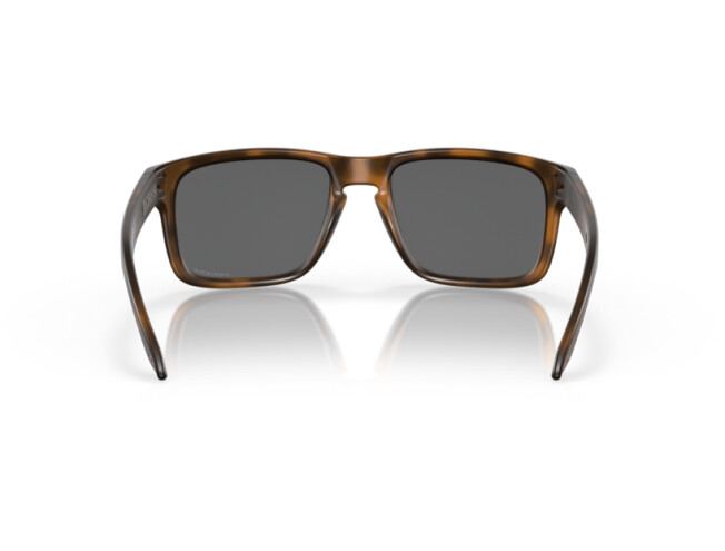 OAKLEY Holbrook Matte Brown Tortoise Prizm Black Matte Brown Tortoise Prizm Black