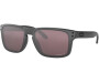 OAKLEY Holbrook Steel Collection Prizm Daily Polarized Steel Collection Prizm Daily Polarized