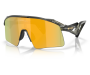 Oakley Stunt Wing Grey Smoke Prizm 24k
