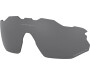Prilliklaasid OAKLEY Radar EV Adv. Prizm Black Polarized