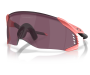 P&auml;ikeseprillid OAKLEY Velo Kato erimudelid "Velocity Collection" Muted Metallic Paloma Prizm Road Black